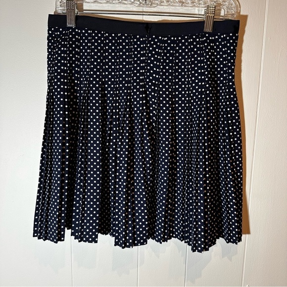 J. Crew Blue and White Polka Dot Skirt Size 4 - Picture 9 of 9